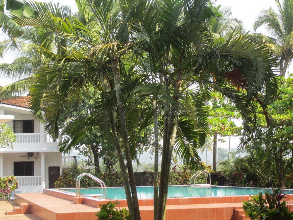 Hotel Riverside Baga Exterior foto